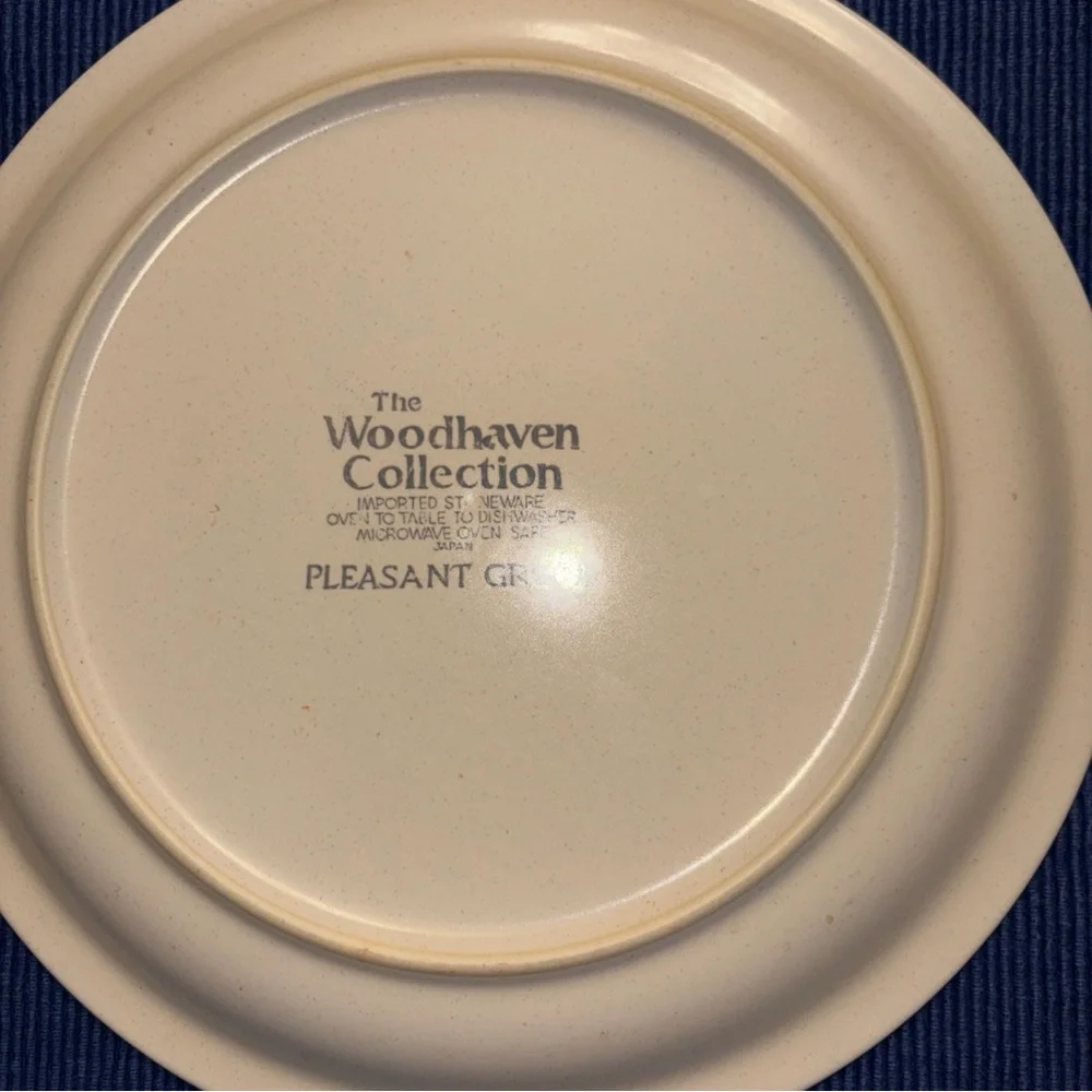 Woodhaven stoneware style Pleasant lot 7 plates 10.75 diameter made Japan - Picture 4 of 6